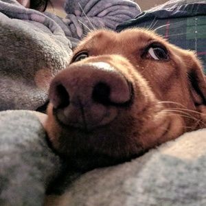 Meet your Posher, Aaron